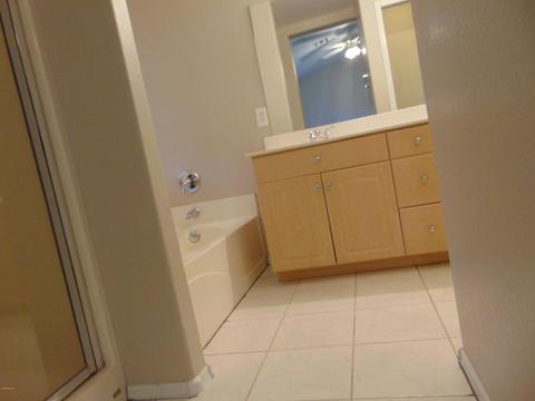 735 S Lanus Dr, Gilbert, AZ 85296 photo 11