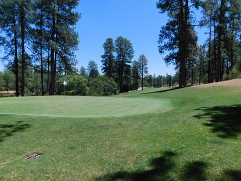617 N Grapevine Dr, Payson, AZ 85541 photo 10