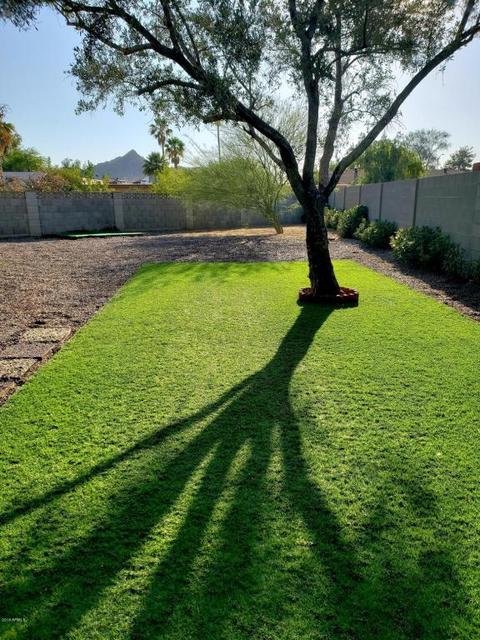 3474 E Crocus Dr, Phoenix, AZ 85032 photo 16