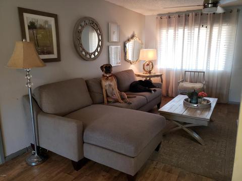3474 E Crocus Dr, Phoenix, AZ 85032 photo 4