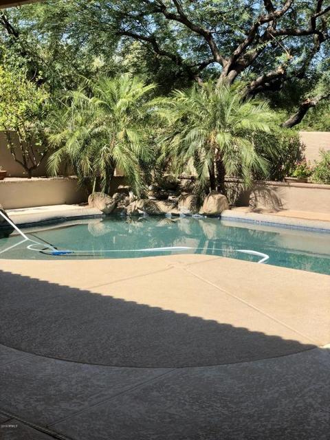 13206 S 36th Pl, Phoenix, AZ 85044 photo 26