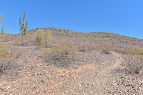236 E Wood Dr, Phoenix, AZ 85022 photo 5