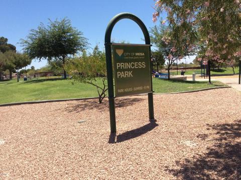 4651 E Princess Dr, Mesa, AZ 85205 photo 17