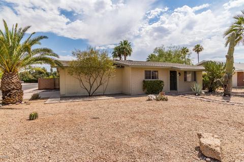 439 E Carter Dr, Tempe, AZ 85282 photo 3