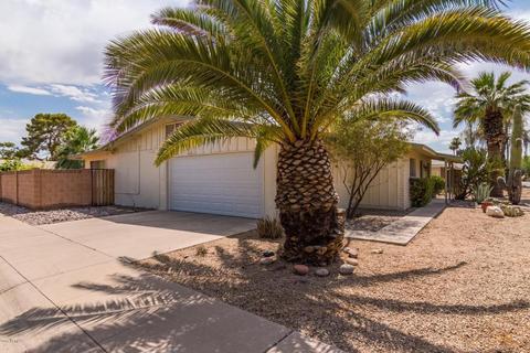 439 E Carter Dr, Tempe, AZ 85282 photo 4