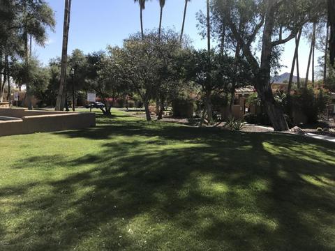 707 E North Ln #2, Phoenix, AZ 85020 photo 4