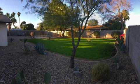 4624 E Voltaire Ave, Phoenix, AZ 85032 photo 13