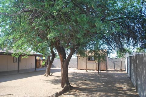 630 N 97th Pl, Mesa, AZ 85207 photo 6
