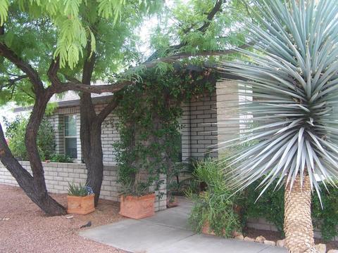 2835 E Vista Dr, Phoenix, AZ 85032 photo 8