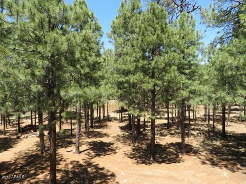 3420 Larson Loop, Forest Lakes, AZ 85931 photo 30