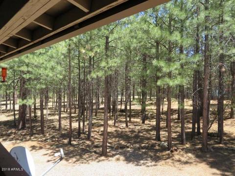 3420 Larson Loop, Forest Lakes, AZ 85931 photo 5