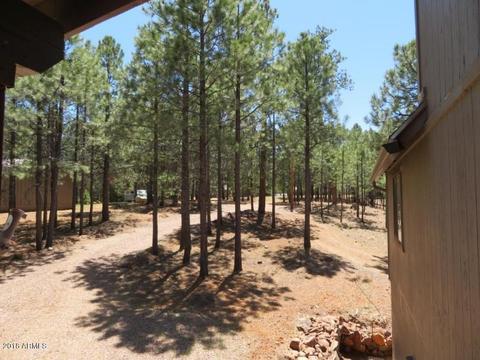 3420 Larson Loop, Forest Lakes, AZ 85931 photo 4