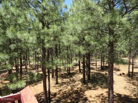 3420 Larson Loop, Forest Lakes, AZ 85931 photo 29