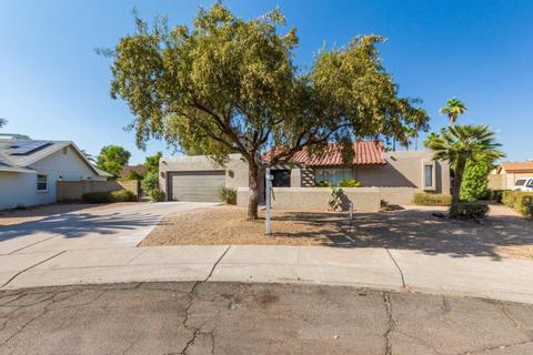 4418 E Crocus Dr, Phoenix, AZ 85032 photo 3