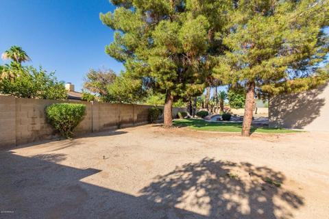 4418 E Crocus Dr, Phoenix, AZ 85032 photo 31