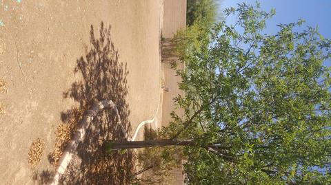 10962 E Quarry Cir, Mesa, AZ 85212 photo 7