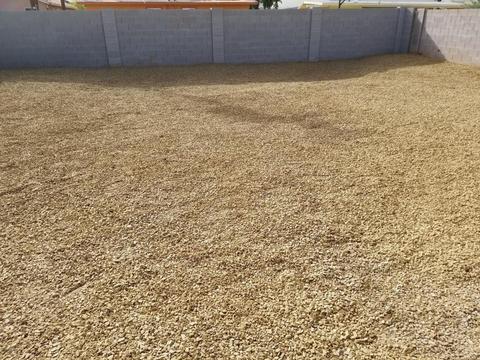 1633 E Garfield St, Phoenix, AZ 85006 photo 5