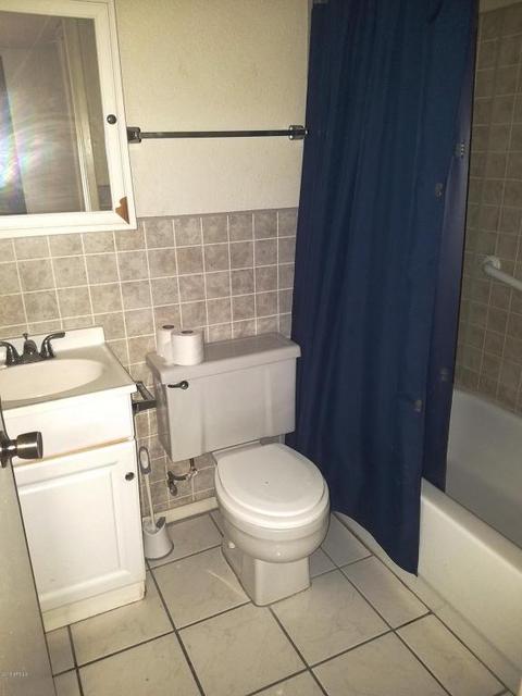 8312 S 9th Pl, Phoenix, AZ 85042 photo 9
