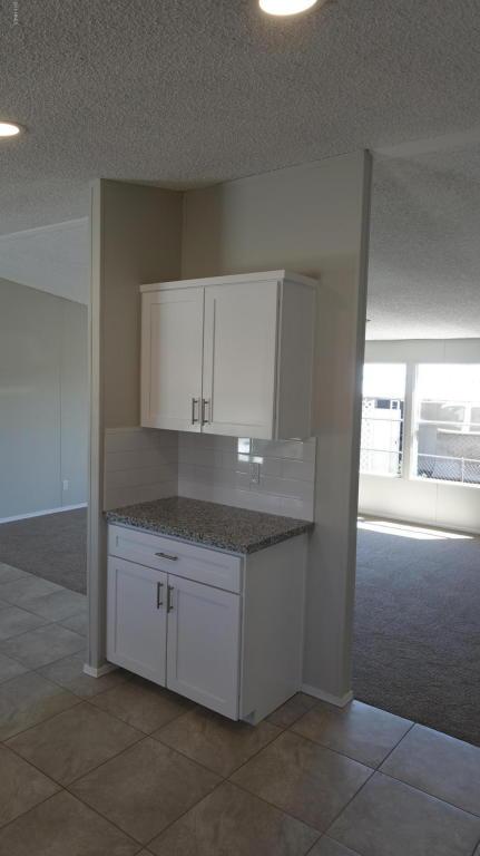 9101 E Butternut Ave, Mesa, AZ 85208 photo 13