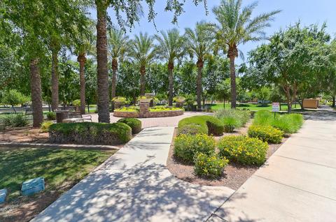 3446 E Orchid Ln, Gilbert, AZ 85296 photo 31