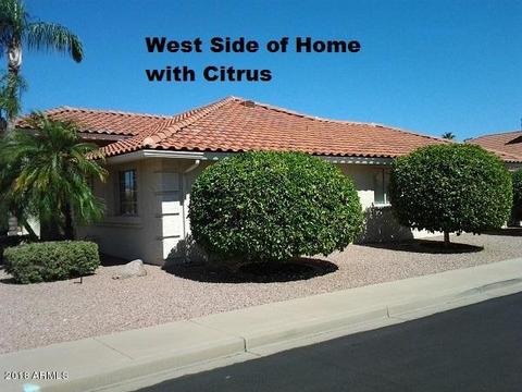 7805 E Mendoza Ave, Mesa, AZ 85209 photo 48