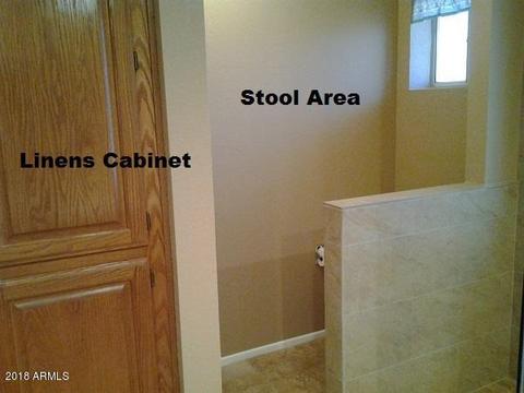 7805 E Mendoza Ave, Mesa, AZ 85209 photo 29
