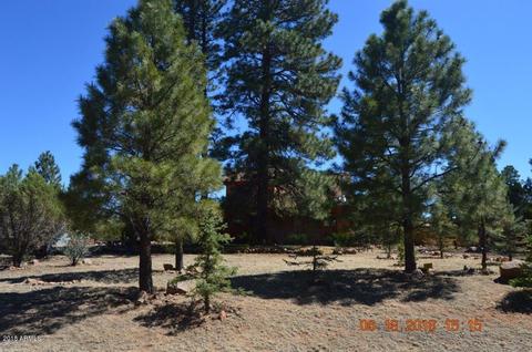 2009 Concord --, Overgaard, AZ 85933 photo 15