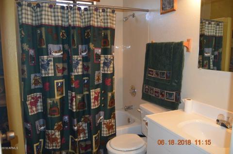2009 Concord --, Overgaard, AZ 85933 photo 12