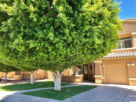 452 E Windsor Dr, Gilbert, AZ 85296 photo 3