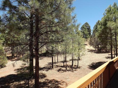 2901 Silver Dollar St, Overgaard, AZ 85933 photo 22