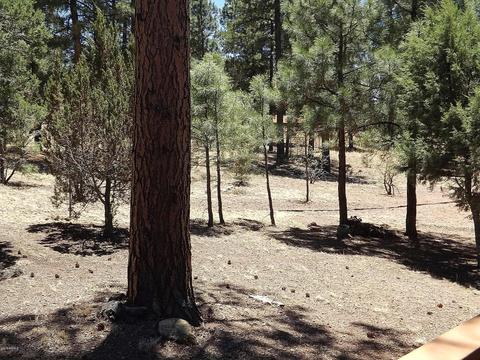 2901 Silver Dollar St, Overgaard, AZ 85933 photo 25