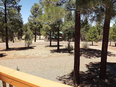 2901 Silver Dollar St, Overgaard, AZ 85933 photo 20