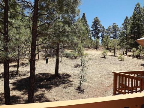 2901 Silver Dollar St, Overgaard, AZ 85933 photo 23