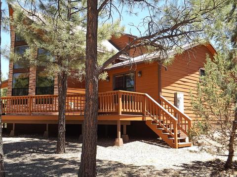 2901 Silver Dollar St, Overgaard, AZ 85933 photo 3