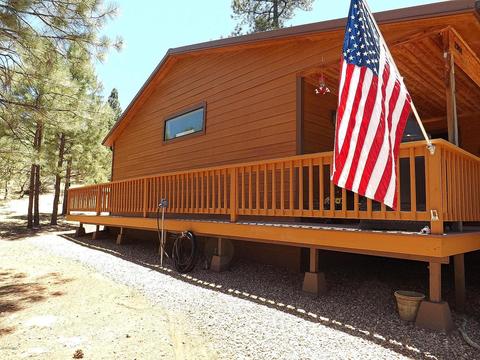 2901 Silver Dollar St, Overgaard, AZ 85933 photo 8