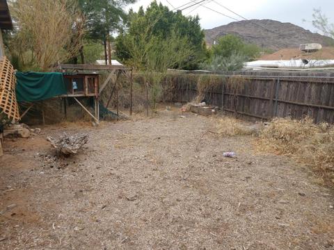 1413 E Lupine Ave, Phoenix, AZ 85020 photo 37