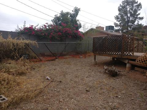 1413 E Lupine Ave, Phoenix, AZ 85020 photo 41