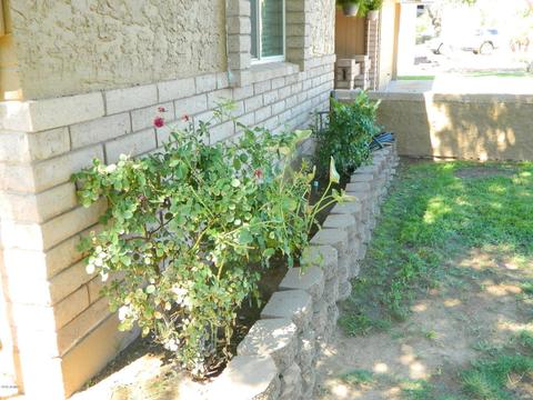 1337 Emerald Ave, Mesa, AZ 85204 photo 42