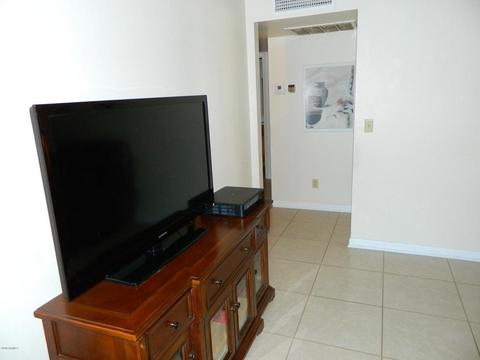 1337 Emerald Ave, Mesa, AZ 85204 photo 50