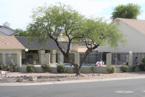3755 E Broadway Rd #103, Mesa, AZ 85206 photo 10