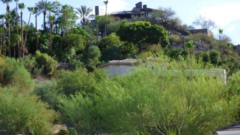 2015 E Vista Ave E, Phoenix, AZ 85020 photo 25