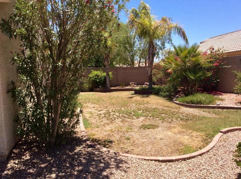 13351 W Redfield Rd, Surprise, AZ 85379 photo 39