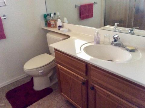 13351 W Redfield Rd, Surprise, AZ 85379 photo 26