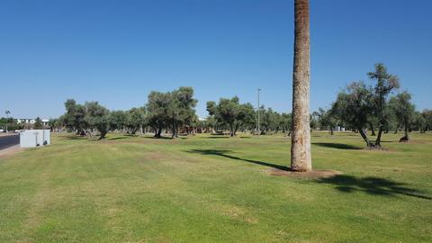 3033 E Devonshire Ave #2030, Phoenix, AZ 85016 photo 11