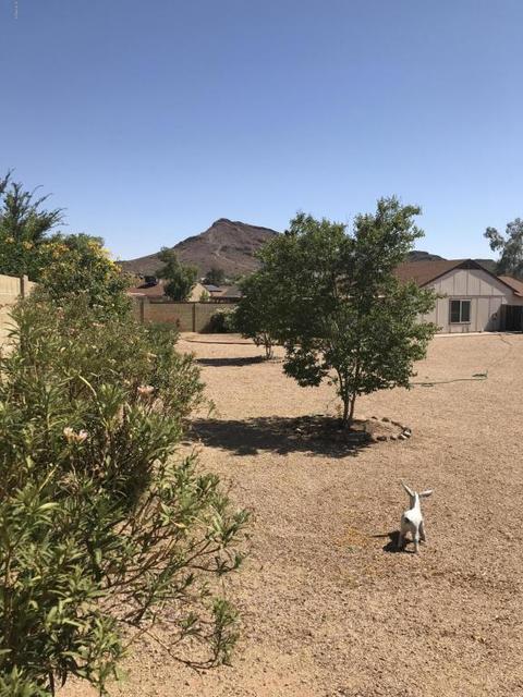 1738 E Grandview Rd, Phoenix, AZ 85022 photo 12