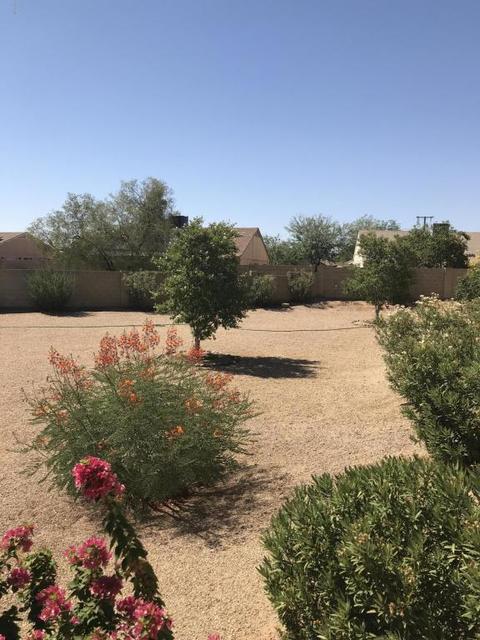 1738 E Grandview Rd, Phoenix, AZ 85022 photo 15