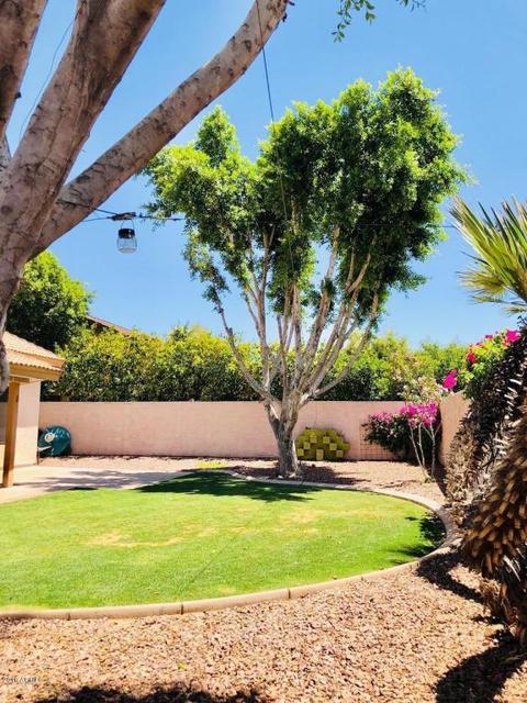 5827 E Jensen St, Mesa, AZ 85205 photo 22