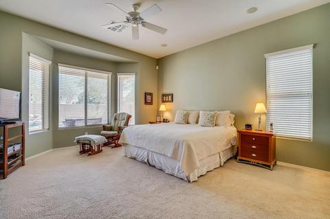 9029 E Halifax Cir, Mesa, AZ 85207 photo 28