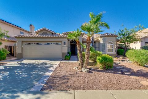 2540 E Taro Ln, Phoenix, AZ 85050 photo 2