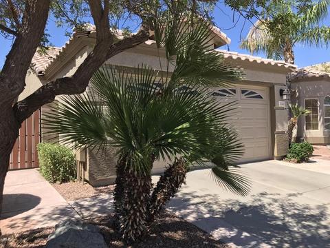 2540 E Taro Ln, Phoenix, AZ 85050 photo 4